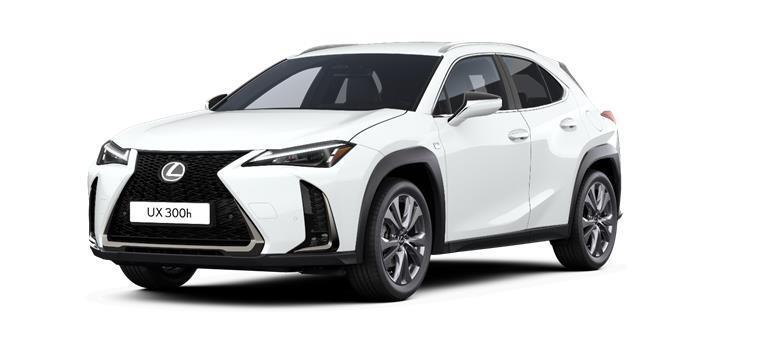 Lexus UX 300h 2,0l