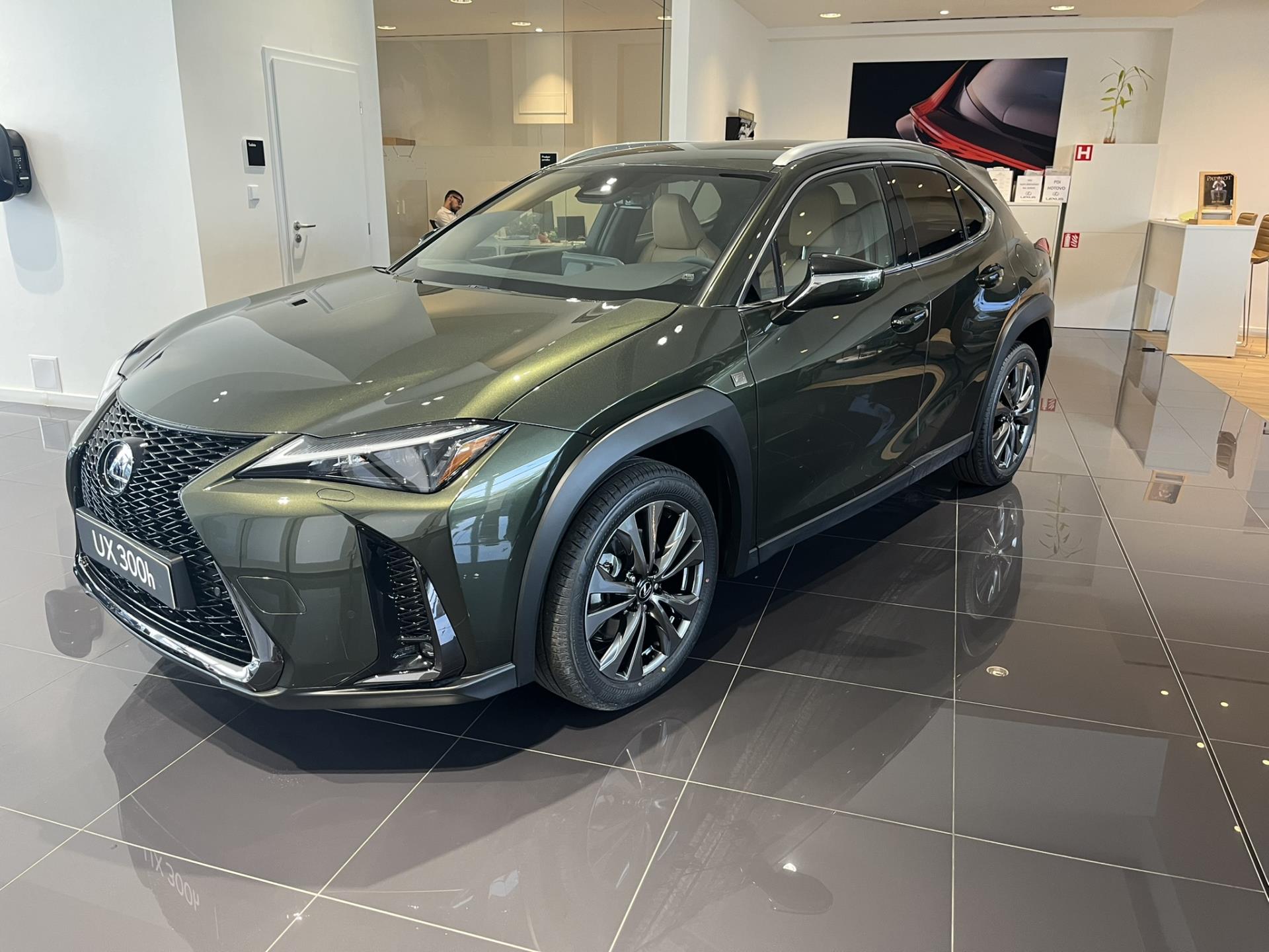 Lexus UX 300h 2,0l